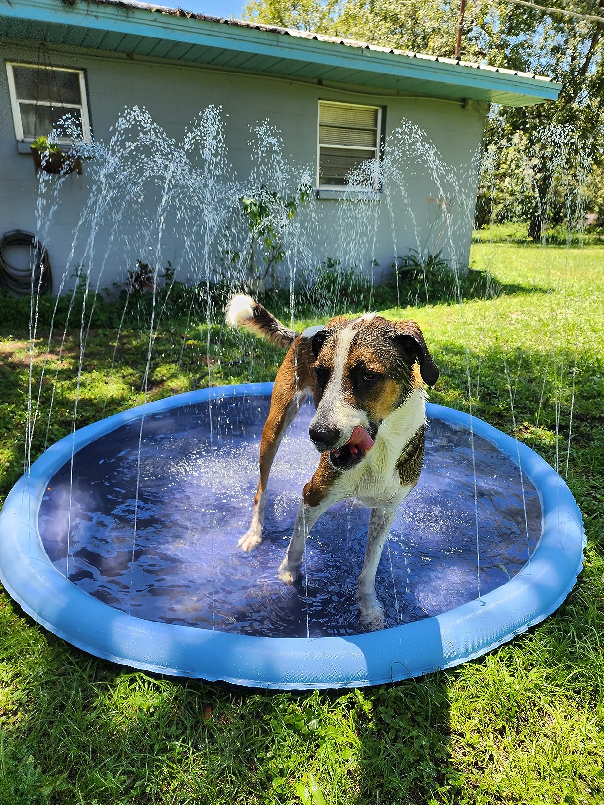 AquaFun™ Pet Splash Pad