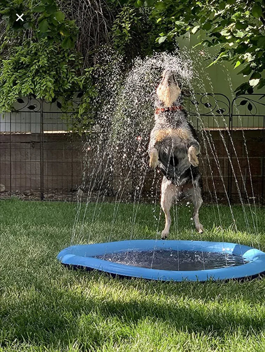 AquaFun™ Pet Splash Pad