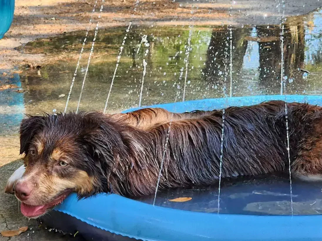 AquaFun™ Pet Splash Pad