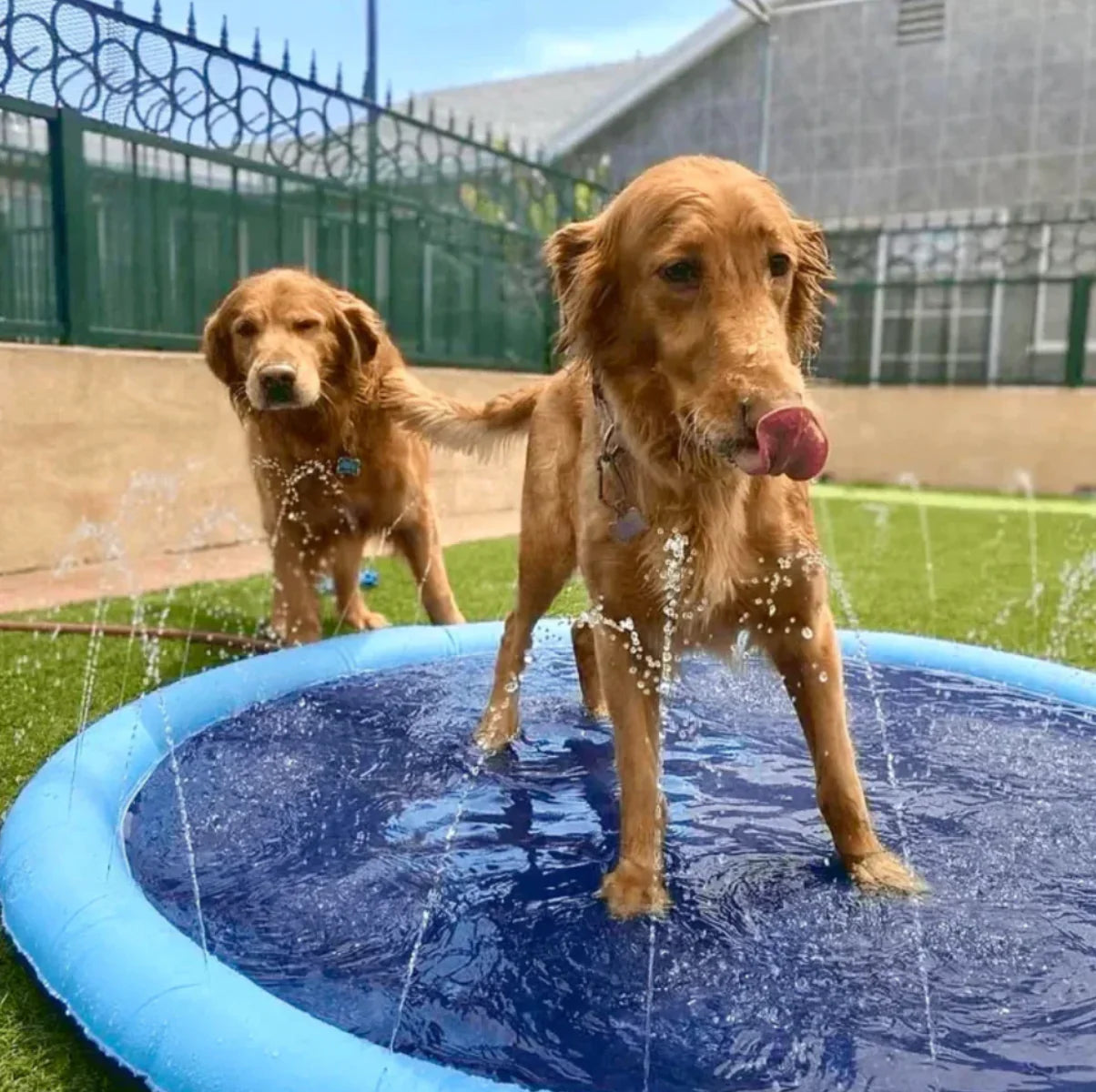 AquaFun™ Pet Splash Pad