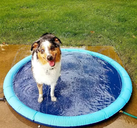 AquaFun™ Pet Splash Pad