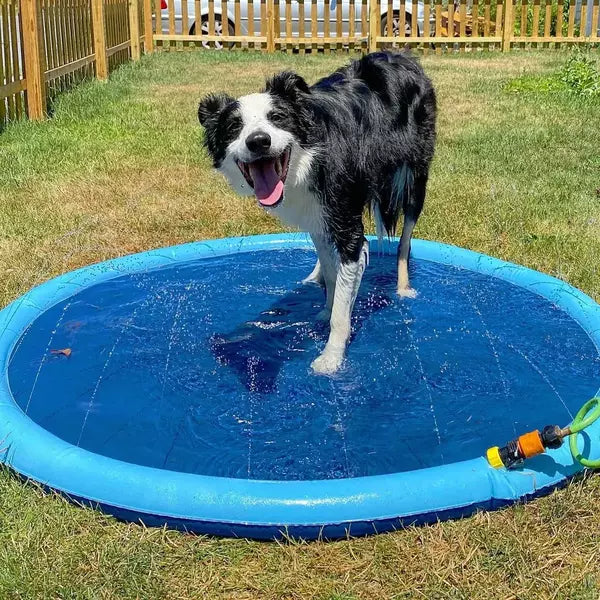 AquaFun™ Pet Splash Pad